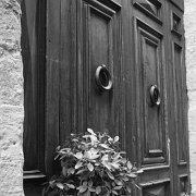 Black and white_0025.jpg